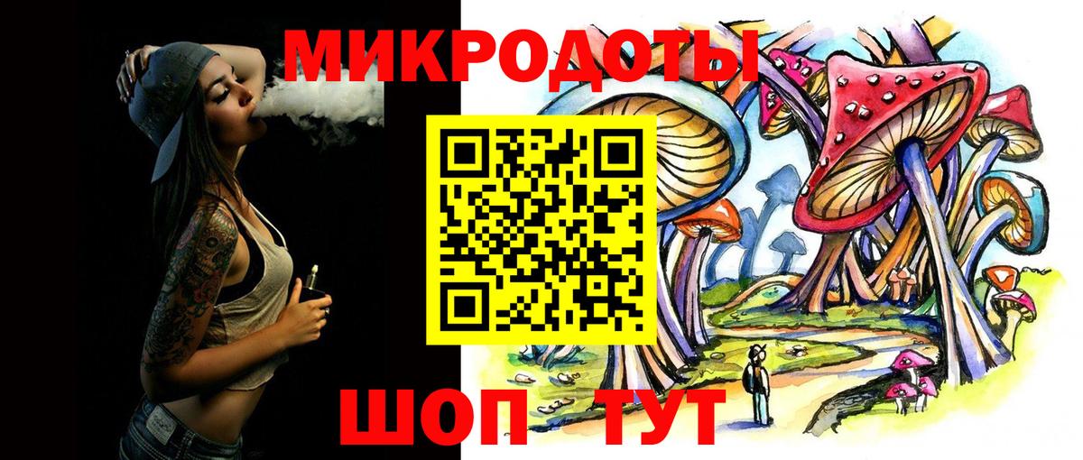 Псилоцибиновые грибы Psilocybine cubensis Ачхой-Мартан